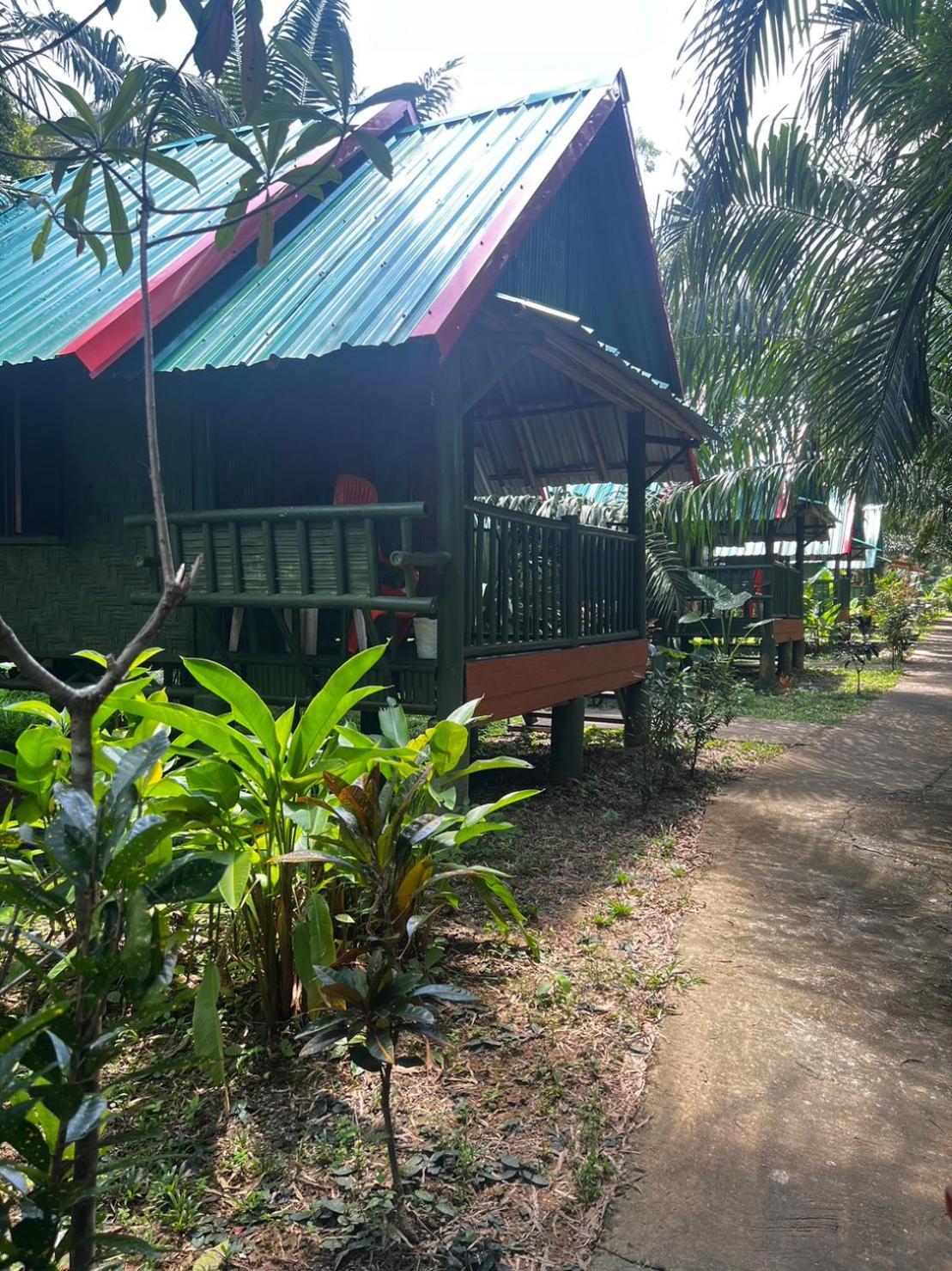 Khaosok Bamboo Huts Resort Khao Sok National Park Εξωτερικό φωτογραφία